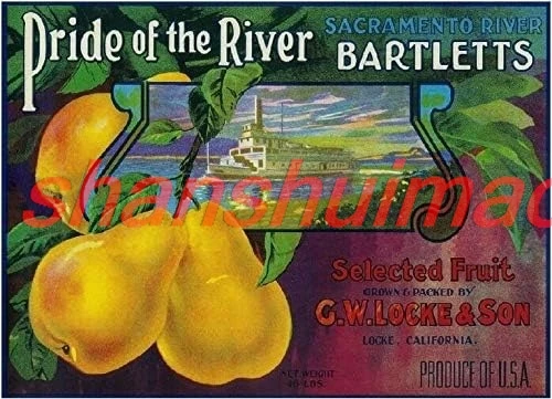 Wall Art Metal Hanging Sign Locke Sacramento Pride Of The River Pear Fruit Crate Box Label Art Print Vintage Wall Decor sha sign