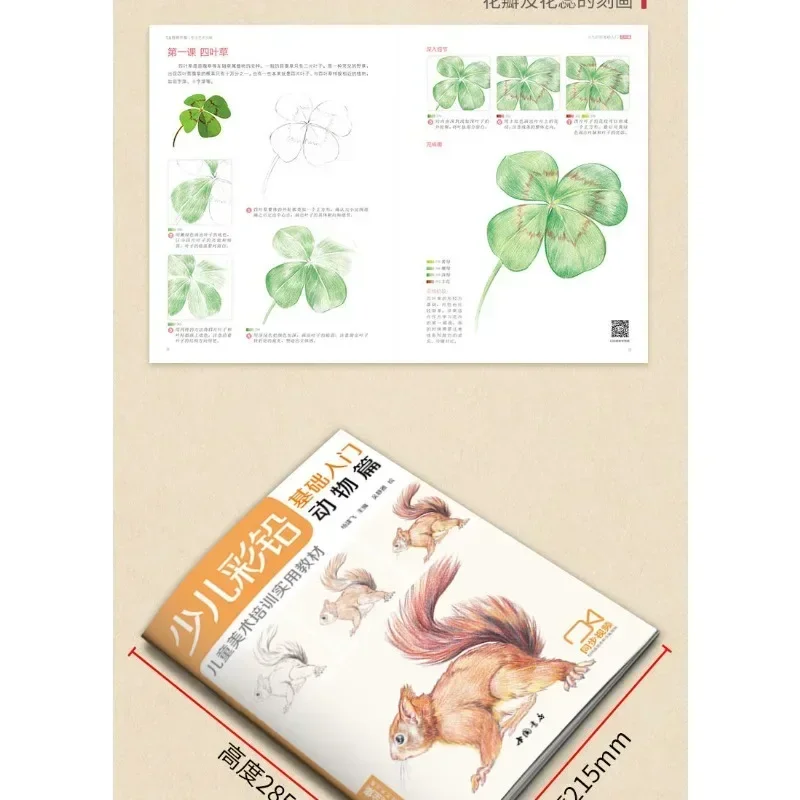 Children's Color Pencil Basics Introductory Food Articles Children's Practical Zero-based Painting Teaching Materials Libros Art