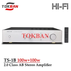 Tokban TS-1B 100w*2 2-channel Class AB Power Amplifier High Power Double OPJRC5532 Preamplifier HIFI Stereo Amplifier Audio