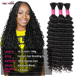 Bulk Human Hair Deep Wave For Braiding Deep Curly No Weft Brazilian Remy Hair Extensions 100 Grams Colored P4 27/Ginger/Brow