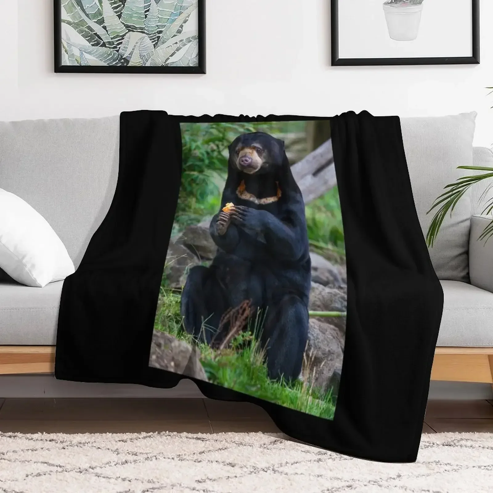 Malayan Sun Bear Contemplating Throw Blanket Personalized Gift Comforter valentine gift ideas for winter Blankets