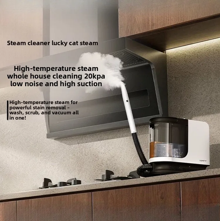 High Temperature Steam Cleaner, All-in-One Suction Cleaning Machine for Range Hood Grease & Fabric Stain Removal