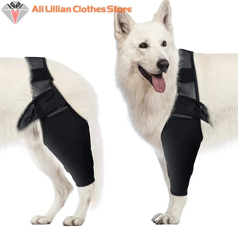 Dog Knee Pads Injury Recovery Fixed Support Brace Pet Protector Pain Relief Feet Cover Leg Joint Wrap Support Pet Recover