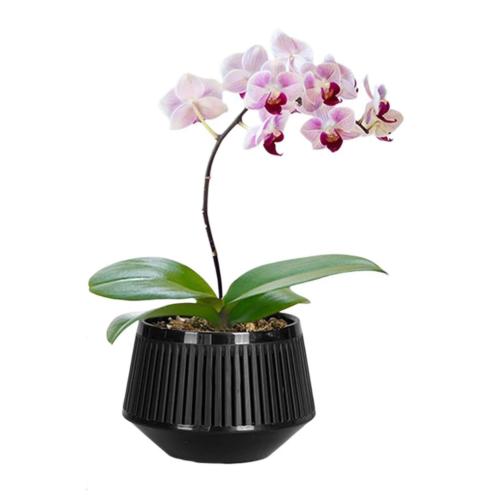 Orchid Pot Breathable Resin Pot Optimal Airflow Design Promotes Healthy Growth For Garden Use Breathable Flower Pot For Orchids