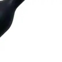 

For SC For EasyFix For SC For EasyFix Premium For SC Premium Textile Care Jet Nozzle 2.863-233.0 2863-2330 Steam Cleaners Part