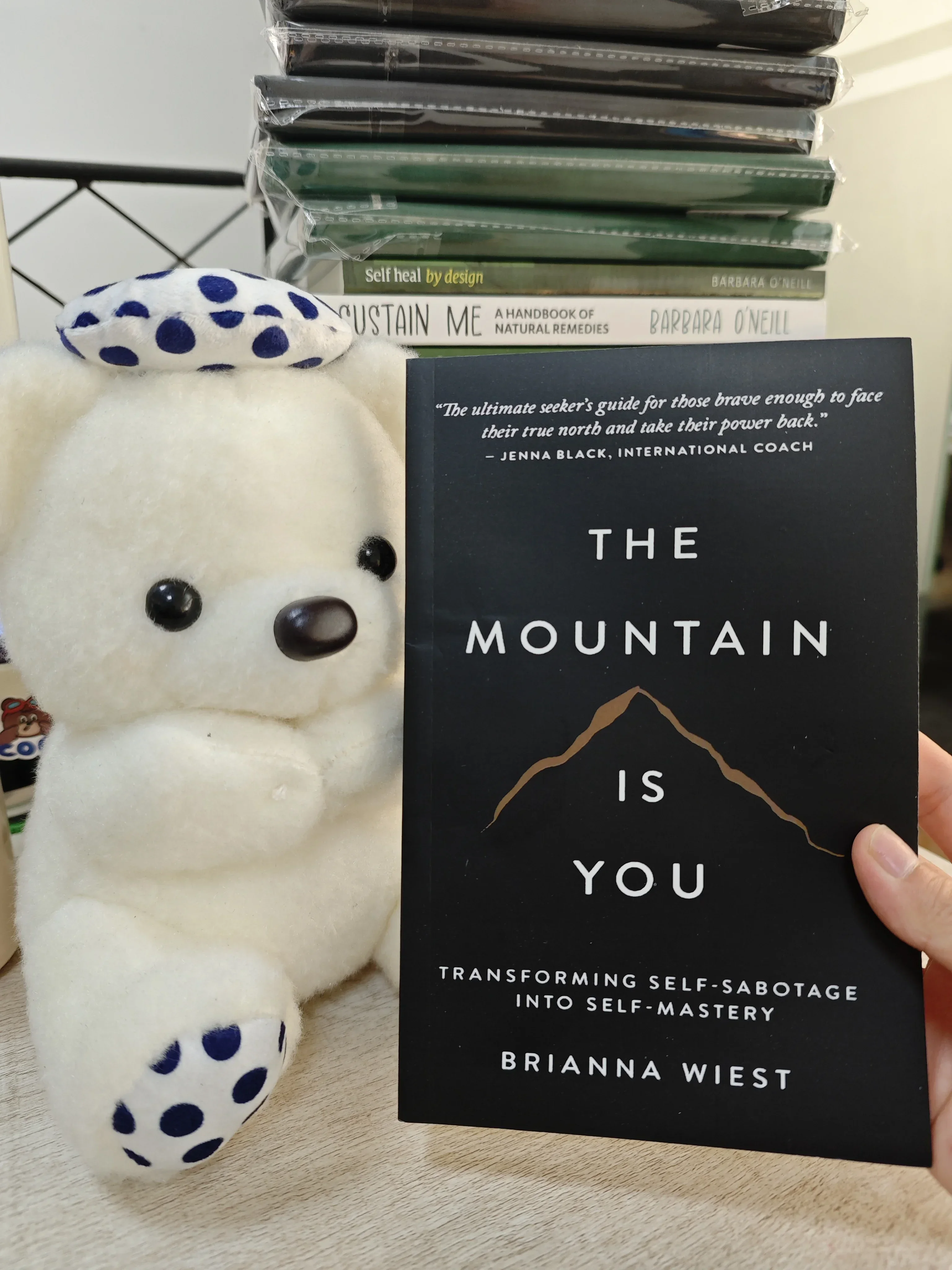 

Book The Mountain Is You: Transforming Self-Sabotage Into Self-mastery English Books