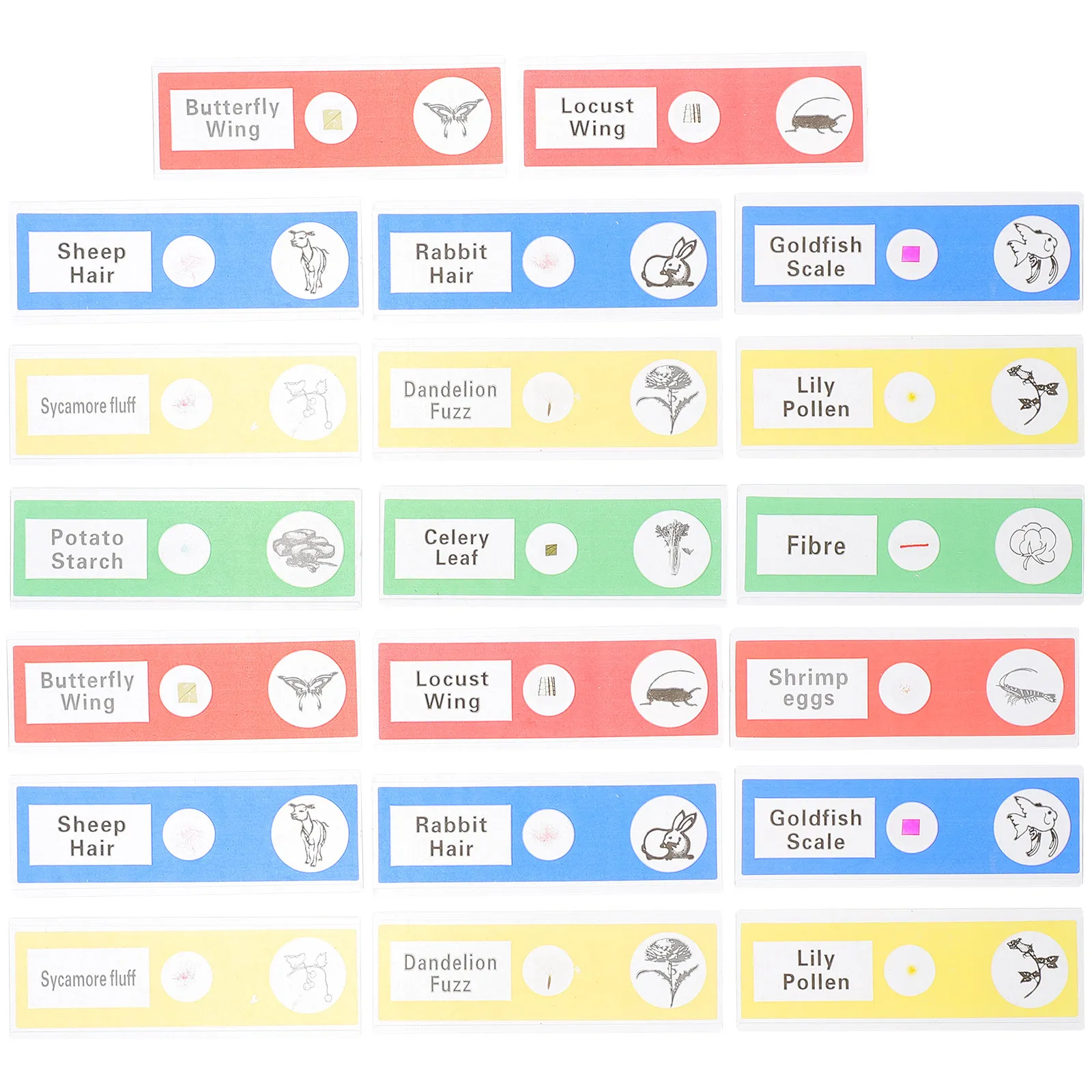 

Набор из 36 пластиковых готовых микропрепаратов: образцы насекомых и растений для обучения детей и научных исследований