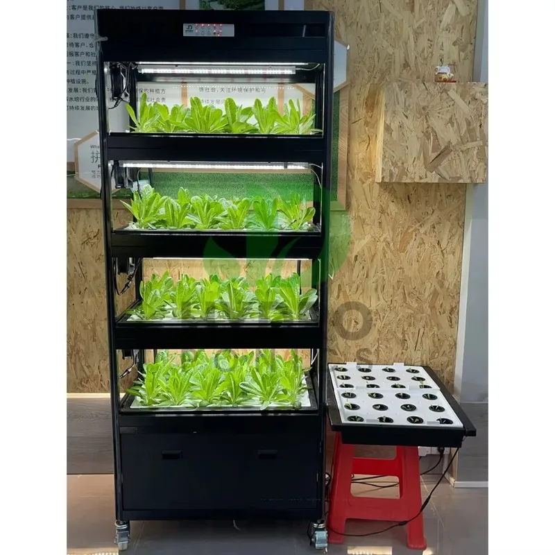 Automatic Home Garden Aquaponics Hydroponic Irrigation Farming Supply Vertical Hydroponic Cabinet System For Grow Vegetable