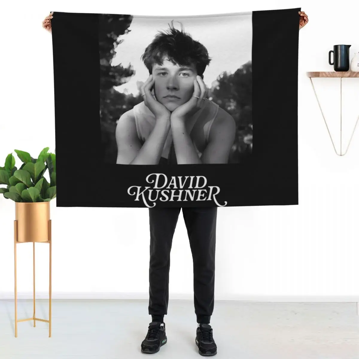 David Kushner Merch…
