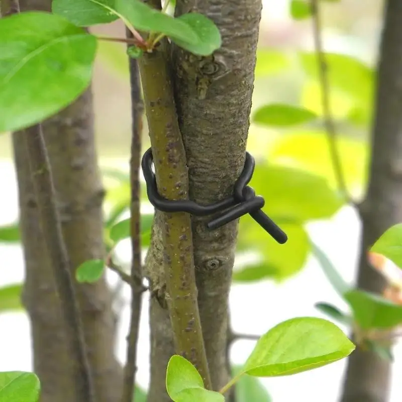 

652F 20 м веревка для фиксации садовых растений, железная проволока, поддержка цветов, привязка, мягкая проволока, подъем