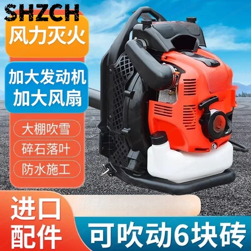 leaf cleaning construction site high power  hair dryer snow blower