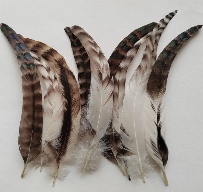 

100Pcs/lot 8-10inches 20-25cm Natural Chicken TAIL FEATHERS,Millinery,Crafts,Supplies,DIY Jewelry Accessories,Handicrafts