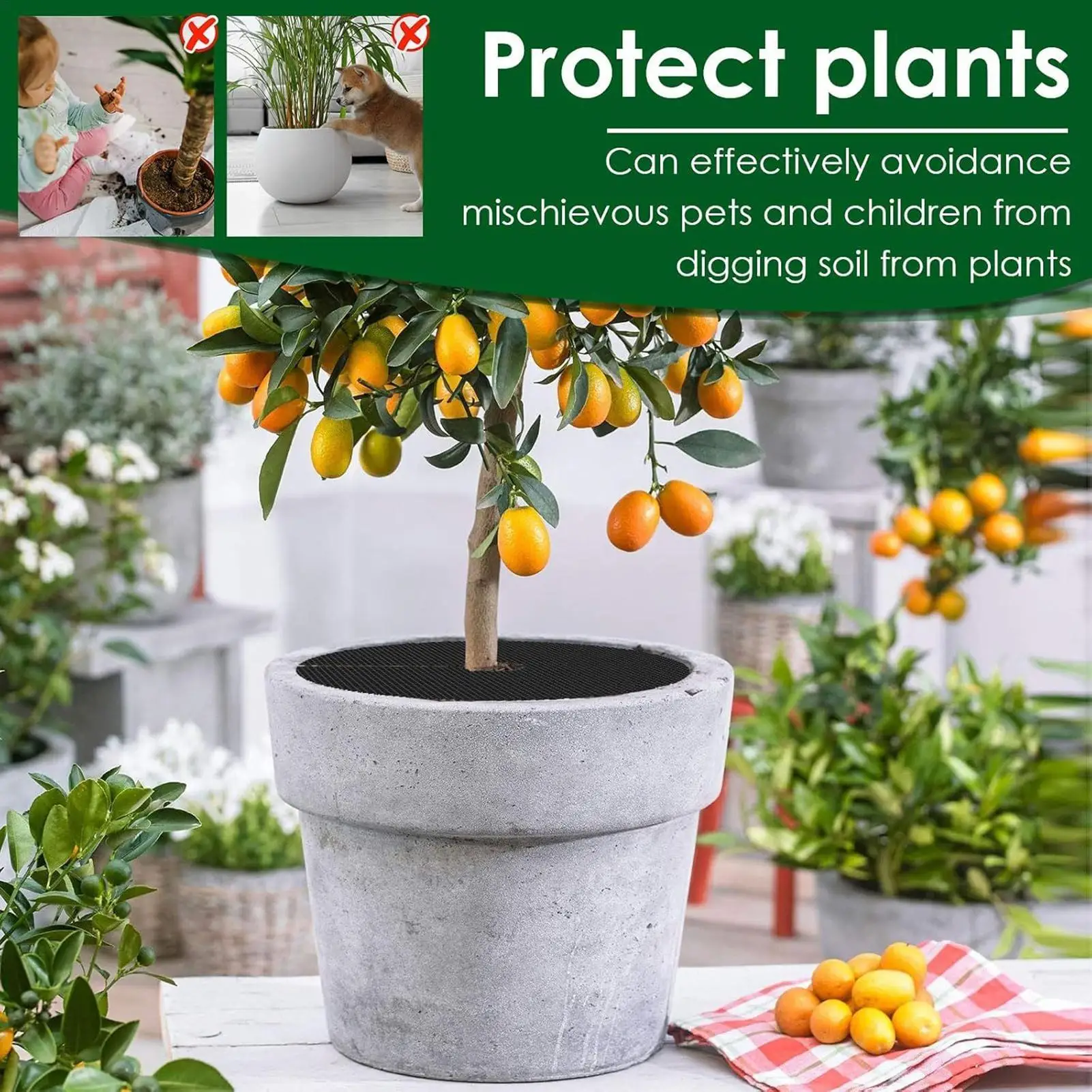 

Plant Soil Cover 10 Pieces Mesh Grid With 10 Stakes Cuttable Pot Soil Cover For Indoor Gardening Moss Kitten Dog Gidding