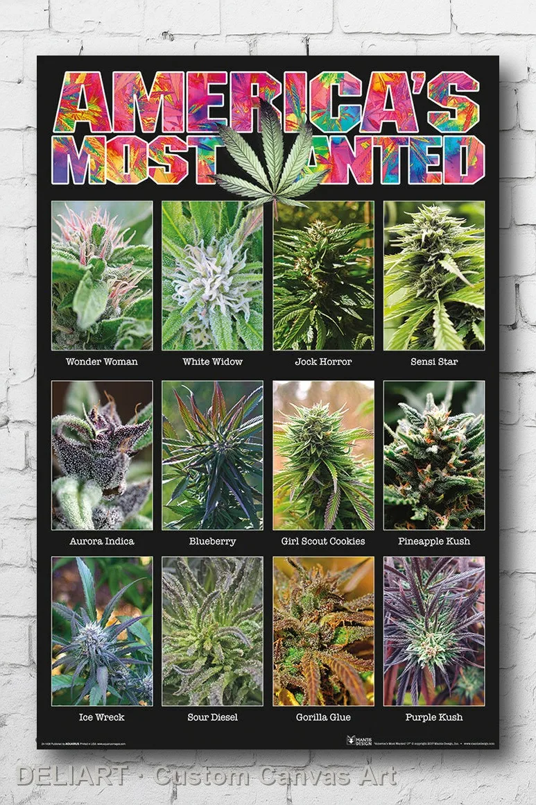 

AMERICA'S MOST WANTED - WEED Canvas Poster MARIJUANA SMOKING Custom Size Available Room Decoration Home Decor Wall Art