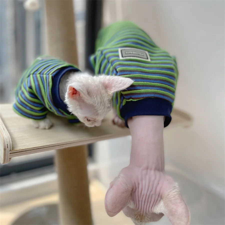 Fashion Clothing for Sphynx Cat in Summer Green Striped Cotton Pajamas for Kittens Soft Polo T-shirt for Male Cat Devon Rex Coat