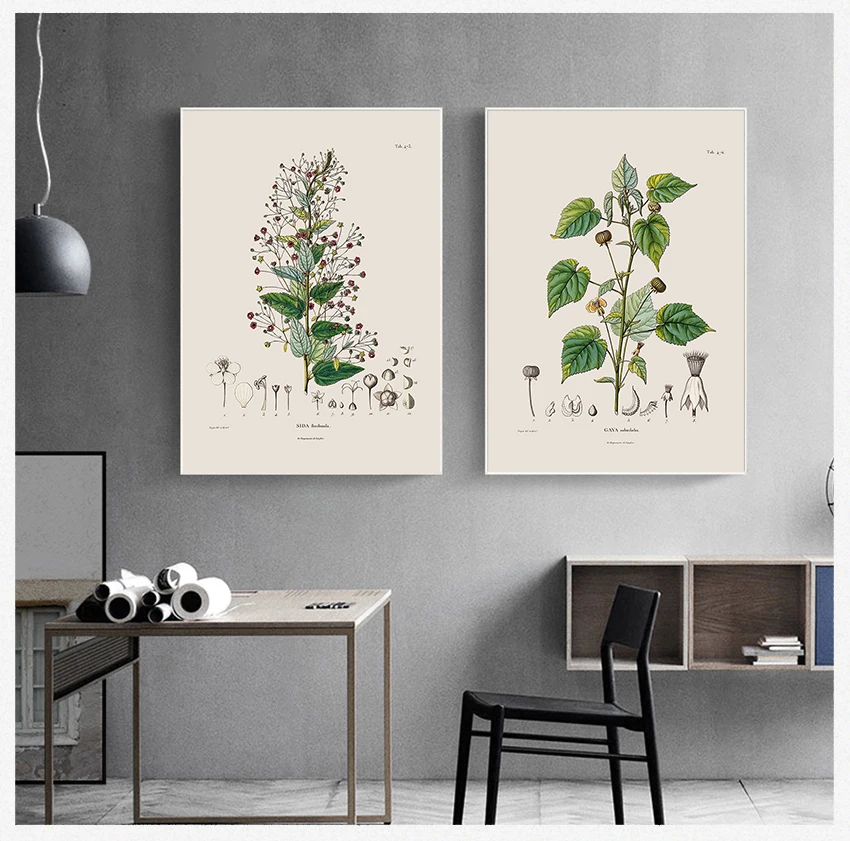 French Plant Illustrations Canvas Painting Botany Wall Art Pictures Decor Botanical Studies Vintage Posters and Prints Antique