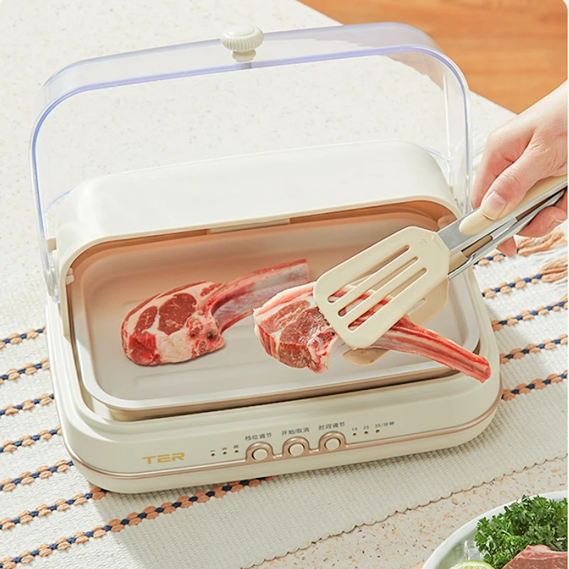 

PTC Heating Constant Temperature Delicious Lock Fresh Defrost Tray Beef Steak Thawing Heat Conduction Plate Rapid Thawing Plate