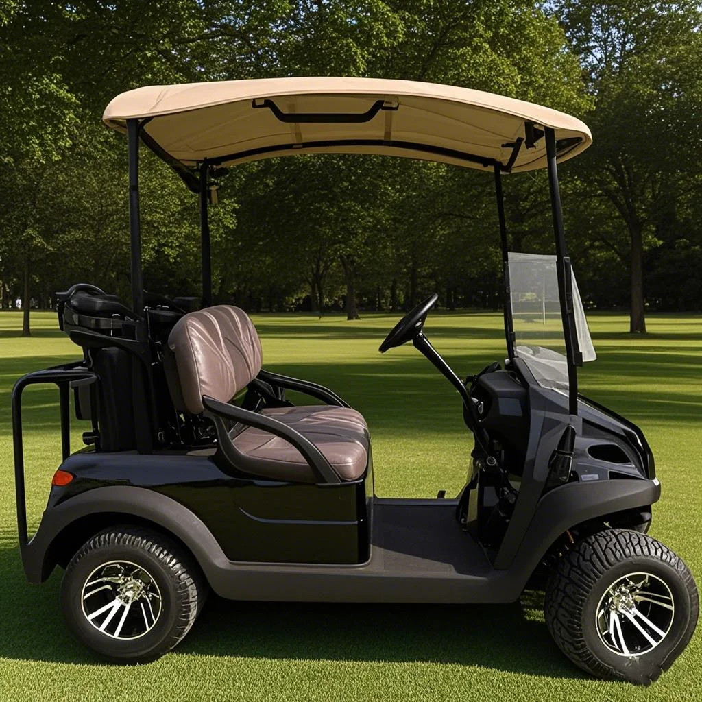 

2025 New Design High Performance Lifted Electric Golf Cart Luxury 2 4 6 8 Passenger Golf Scooter For Adults Free Custom Color