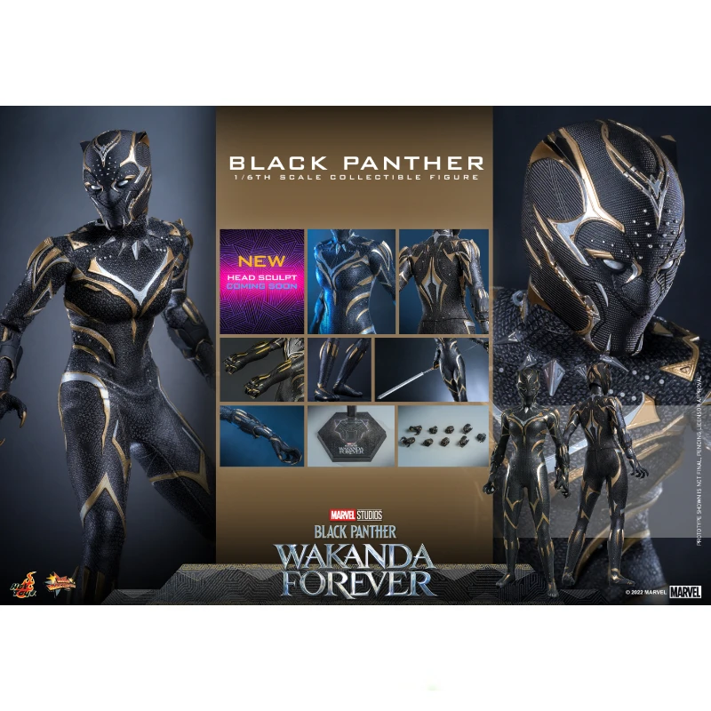 In Stock HotToys MMS675 BLACK PANTHER Long Live Wakanda 1/6 Animation Action Figure Toy Gift Model Collection Hobby