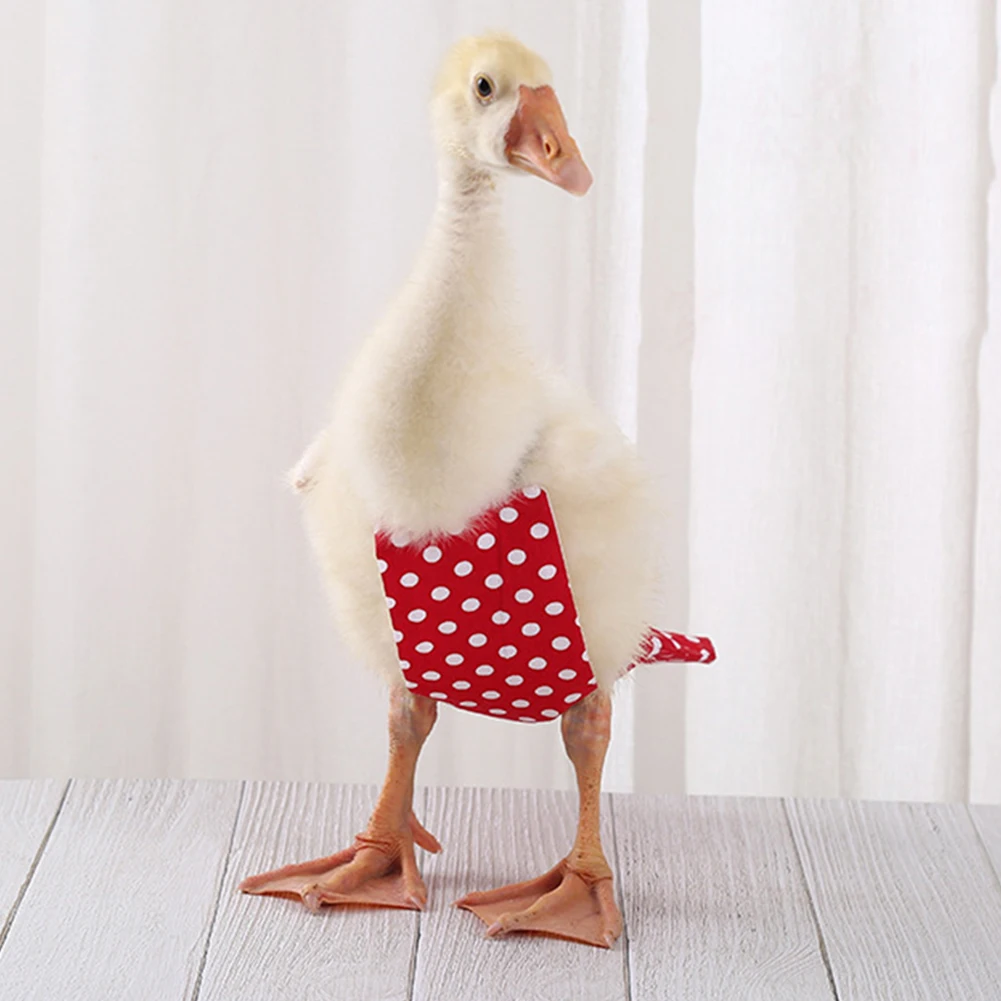 Farm Pet Diaper Goose Duck Chicken Poultry Duck Diaper Goose Diaper Lovely Adjustable Linkhole Fabric Bow Knot Goose Duck Diaper