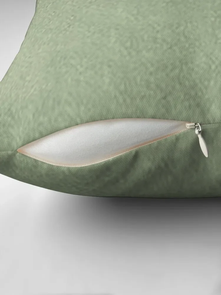 Pale Mint Green Velvet Throw Pillow christmas pillow case Sofa Cushions Cover Decorative pillow case