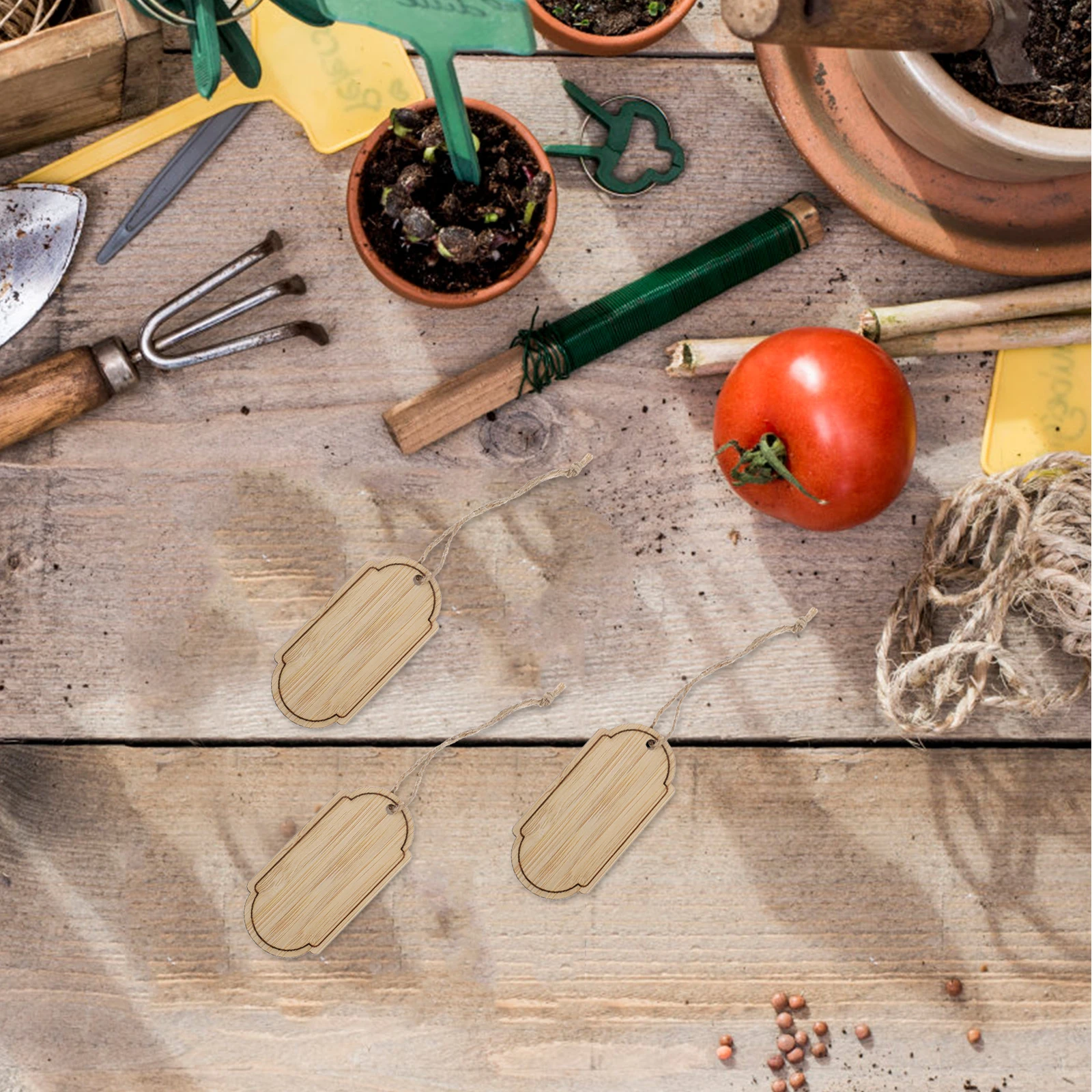 

10 Pcs Bamboo Small Hang Tag Plant Markers Vintage Flower Name Gardening Labels Wooden Vegetable Tags