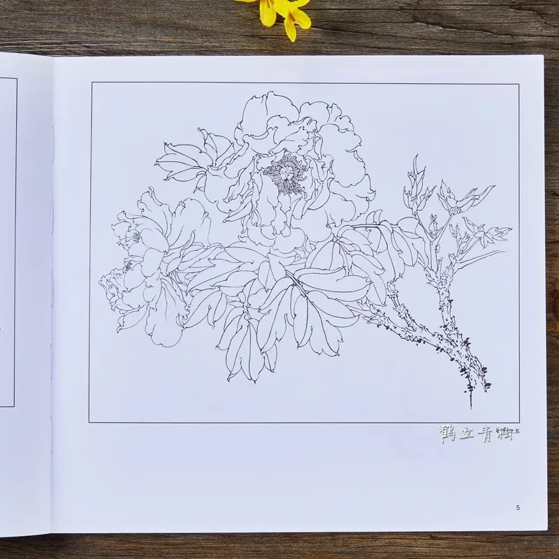 Chinese Flower Line Drawing Technique Book - Beginner's Guide to Bai Miao Sketching & Ink Painting Basics