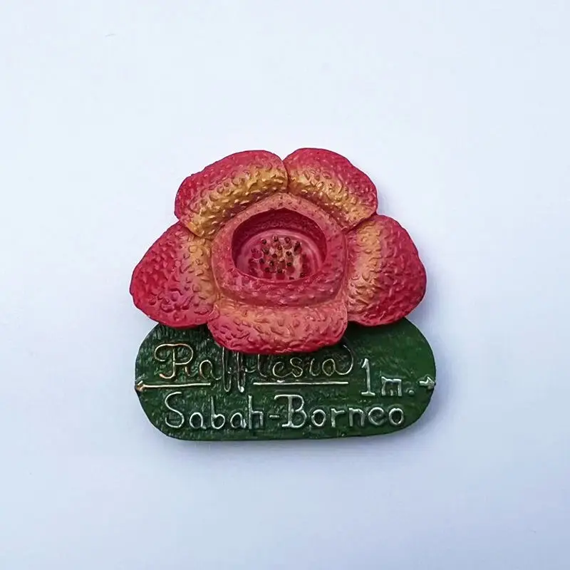 

Malaysia Sabah Borneo Rafflesia Flower 3D Resin Fridge Magnet - Imanes Nevera Home Decor Items Room Decoration Magnets
