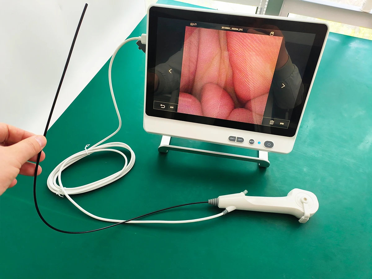 Flexible Video Ureteroscope Disposable Ureteroscope Digital Urological Ureteroscope