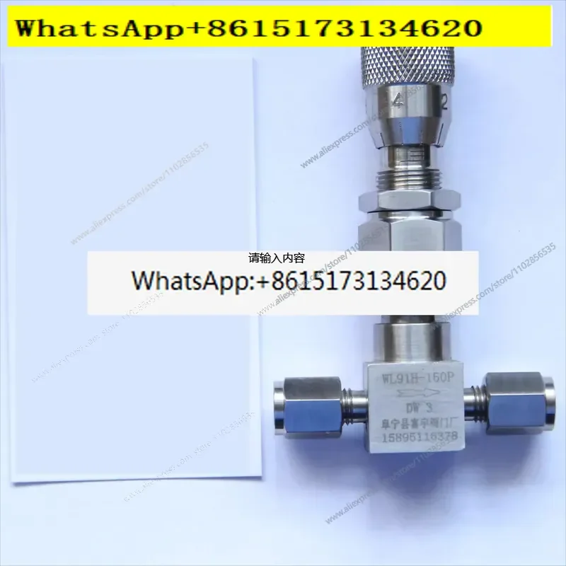 Micro Control Valve Scale Flow Control WL91H-320P DW6