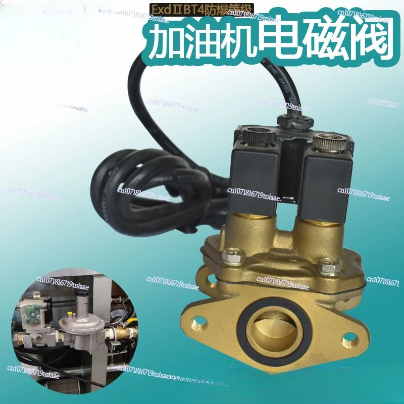 صمام لولبي LPG Encapsulated Double-Flow Solenoid Valve for Fuel Dispenser, 6/8 Inch Flanged Explosion-Proof Electromagnetic Valve الغاز والوقود — تفصيل 3