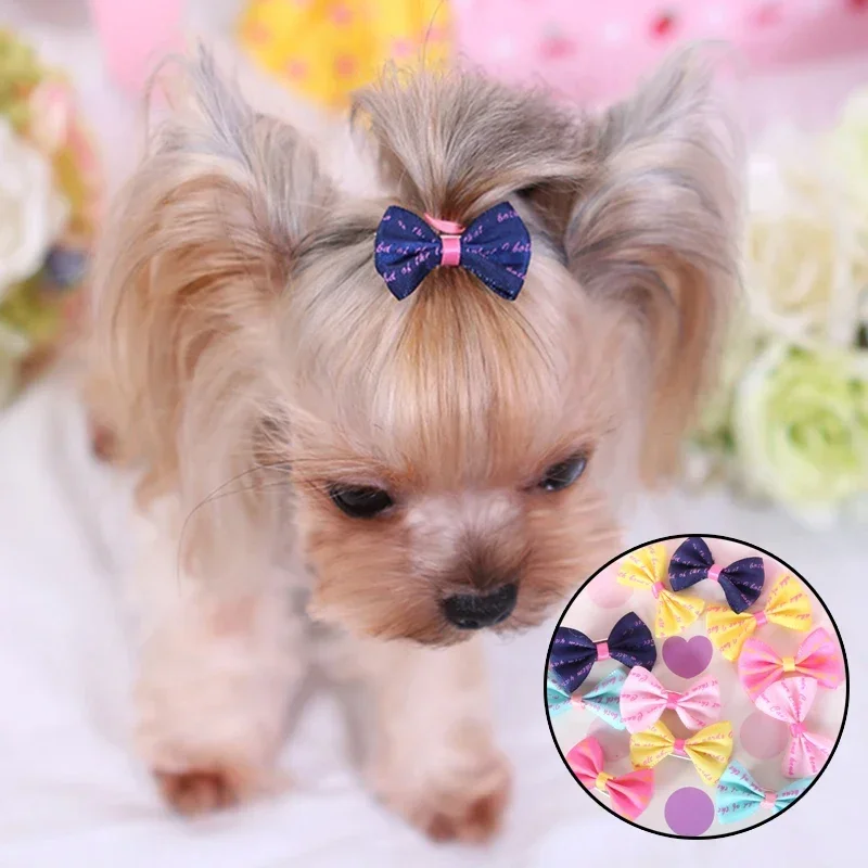 5pcs  Colorful Small Dog Bows Puppy Hair Bows Decorate Small Dog Hair Rubber Bands Pet Headflower Supplier Dog Accessories