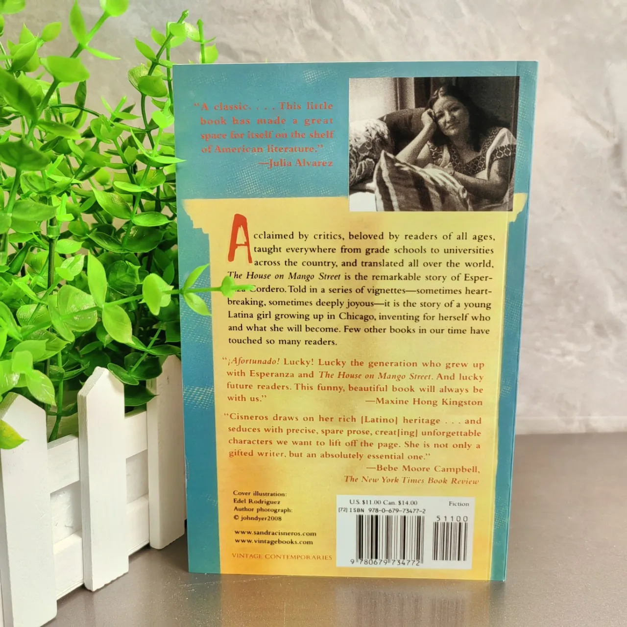 Prenota La Casa sulla strada di mango. Editorial VINTAGE 2007 anno d'autore Sandra Cisneros