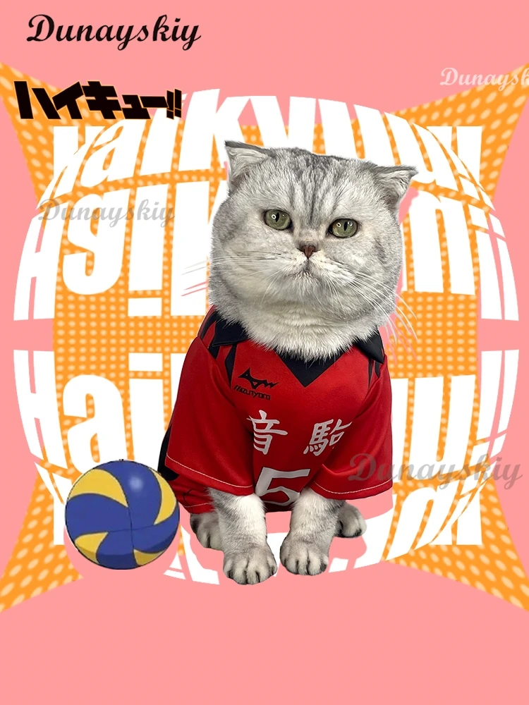 Hinata Shoyo Kageyama Tobio Kenma Kozume Tooru Oikawa Cosplay Costume High School Volleyball Club Cat Dog Pet T-shirt Cute