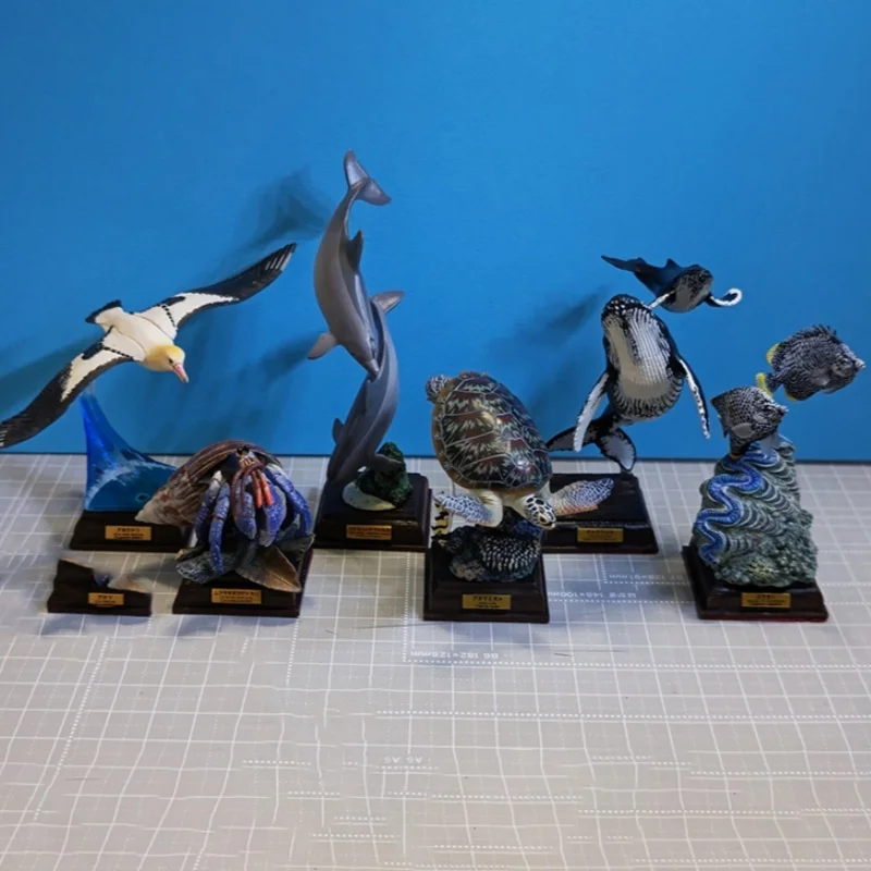 In Stock Kitan Ikimon Ntc The Ogasawara Marine Animals Special