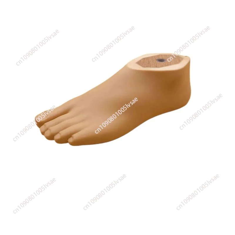 prosthetic-foot-board-static-ankle-22～27cm-accessories-parts-artificial-limbs-ortheses-prostheses-sockets-fasten