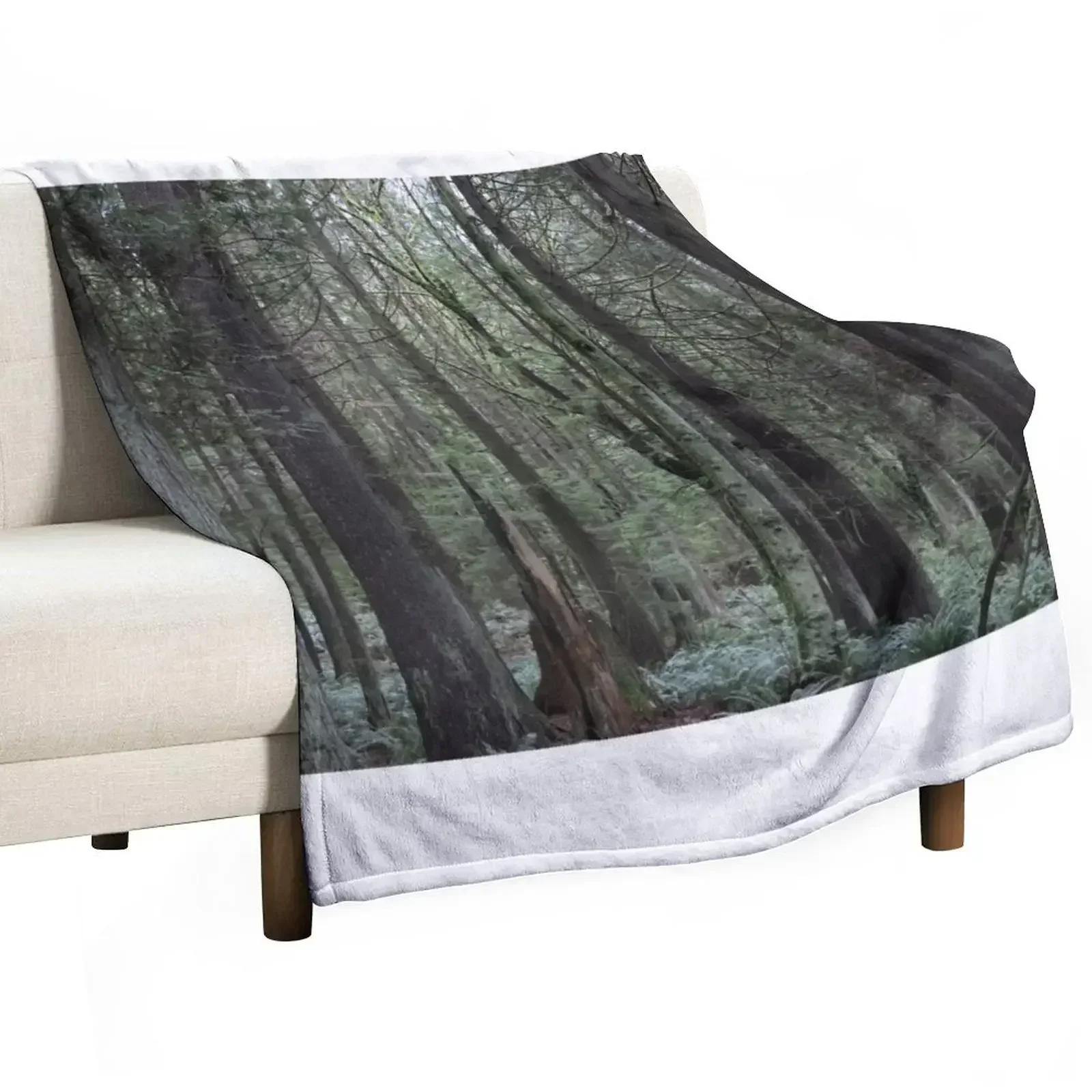 

New Forest landscape Throw Blanket wednesday Cute Plaid Blankets