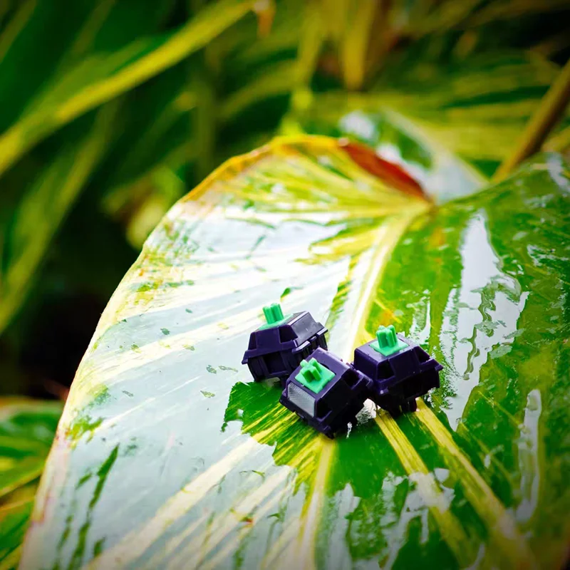 Mulberry Switch Tac…