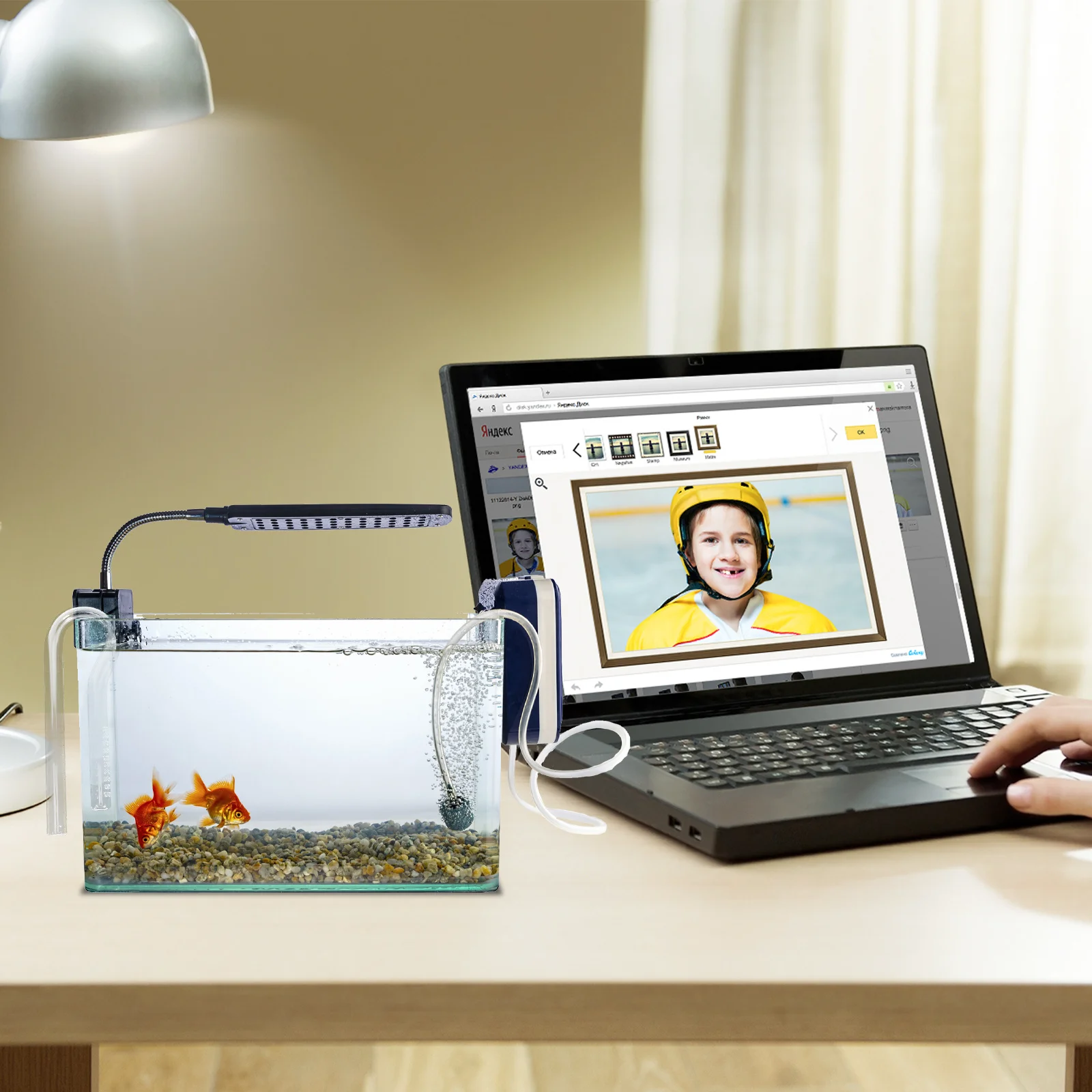 

Fish Tank Glass Water Inlet Pipe High Quality Stable Performance Long Service Time Clean Water Flow Aquarium Supplies