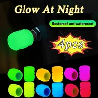 4PCS Universal Car Luminous Tire Valve Caps Fluorescent Night Glowing Motorcycle Bike Wheel Tyre Hub Valve Stem Caps Decor