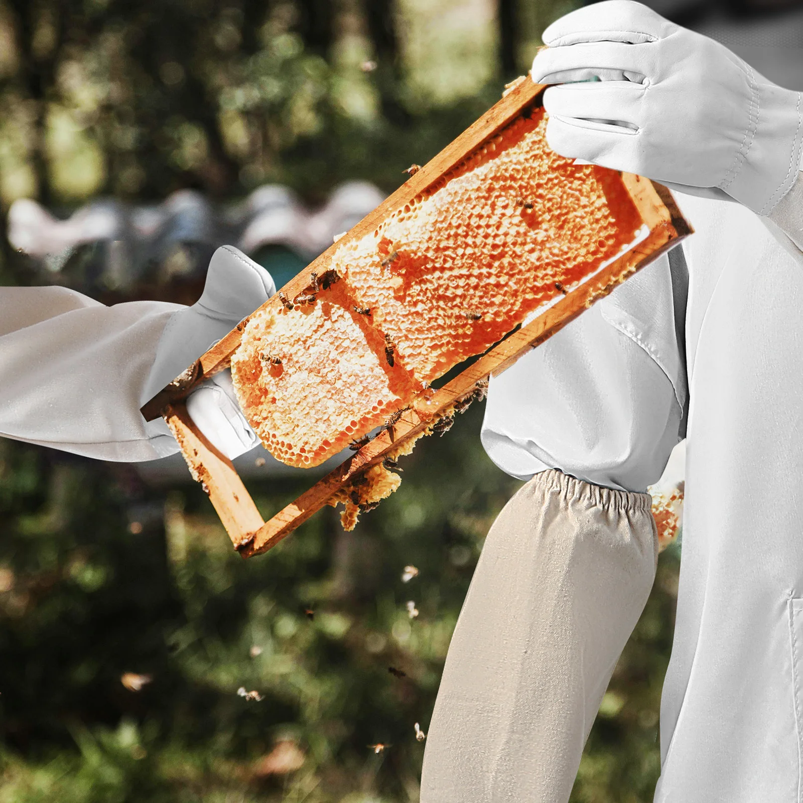 

1Set Bee Suit Ventilated Zippered Hood Thickened Fabric Beekeeping Jacket Gloves Protective Equipment Suit Beekeeping Gloves