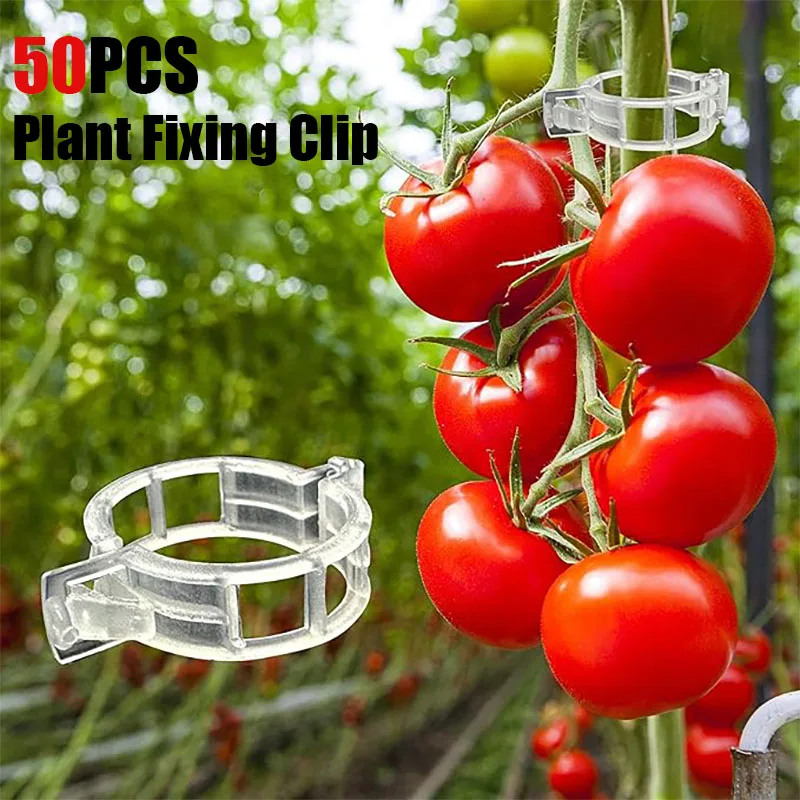 50PCS Pepper Clip for Plants Reusable Vine Connects Fixing Tool Climbing Plants Clip for Tomato