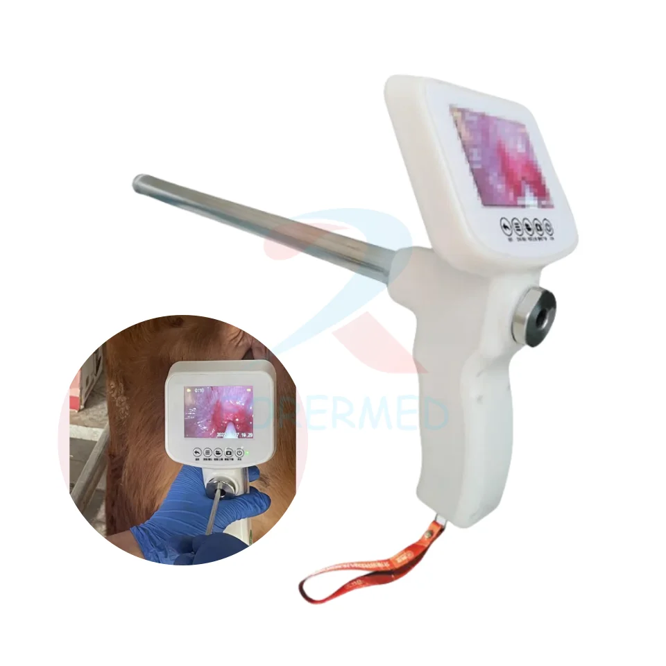 

Cattle Artificial Insemination Veterinary Instrument Portable AI Artificial Insemination Equipment For Animal Cow Pig