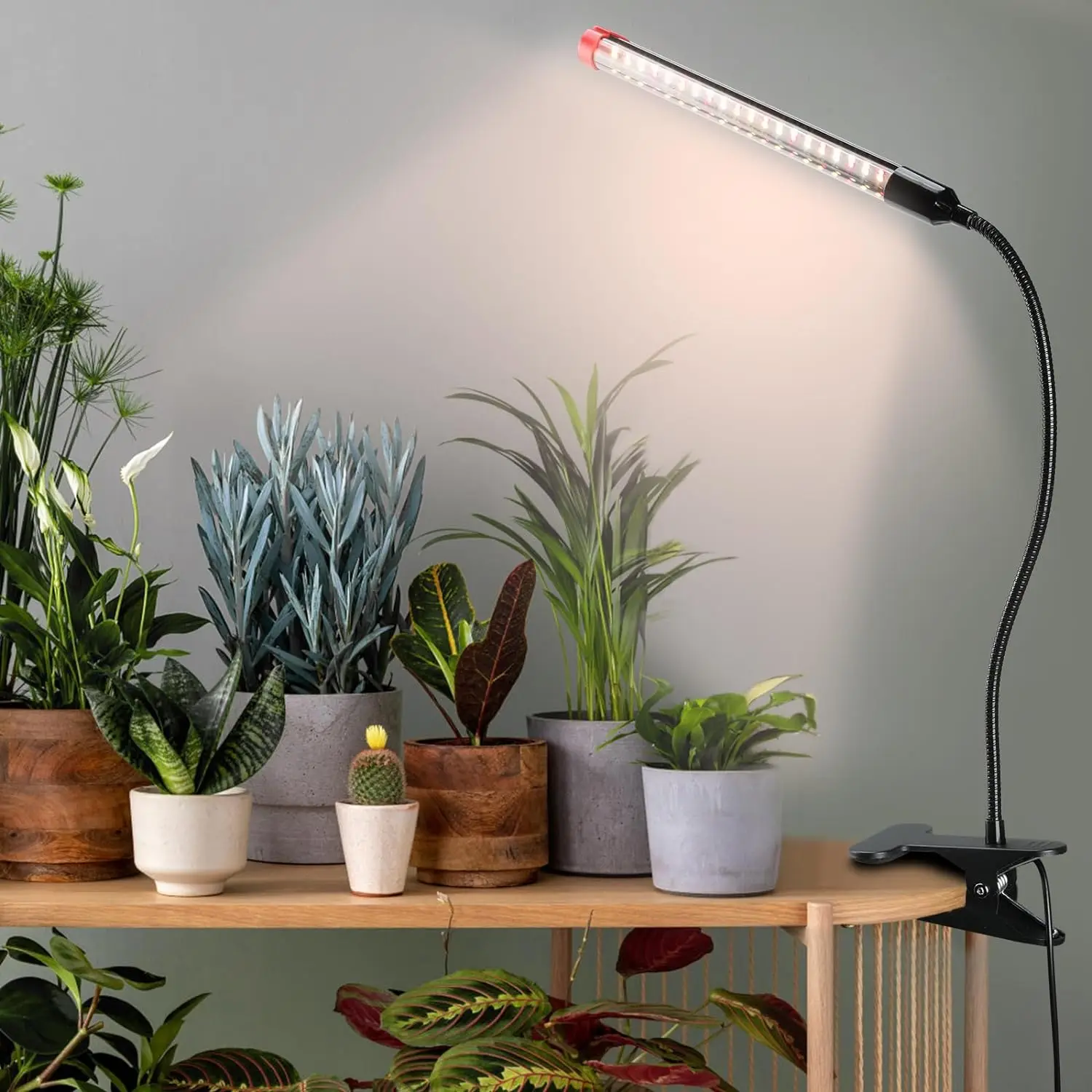Full Spectrum Plant Grow Light with Clip Phytolamp, 10 Dimmable Levels, Auto On Off with 3/9/12H Timer