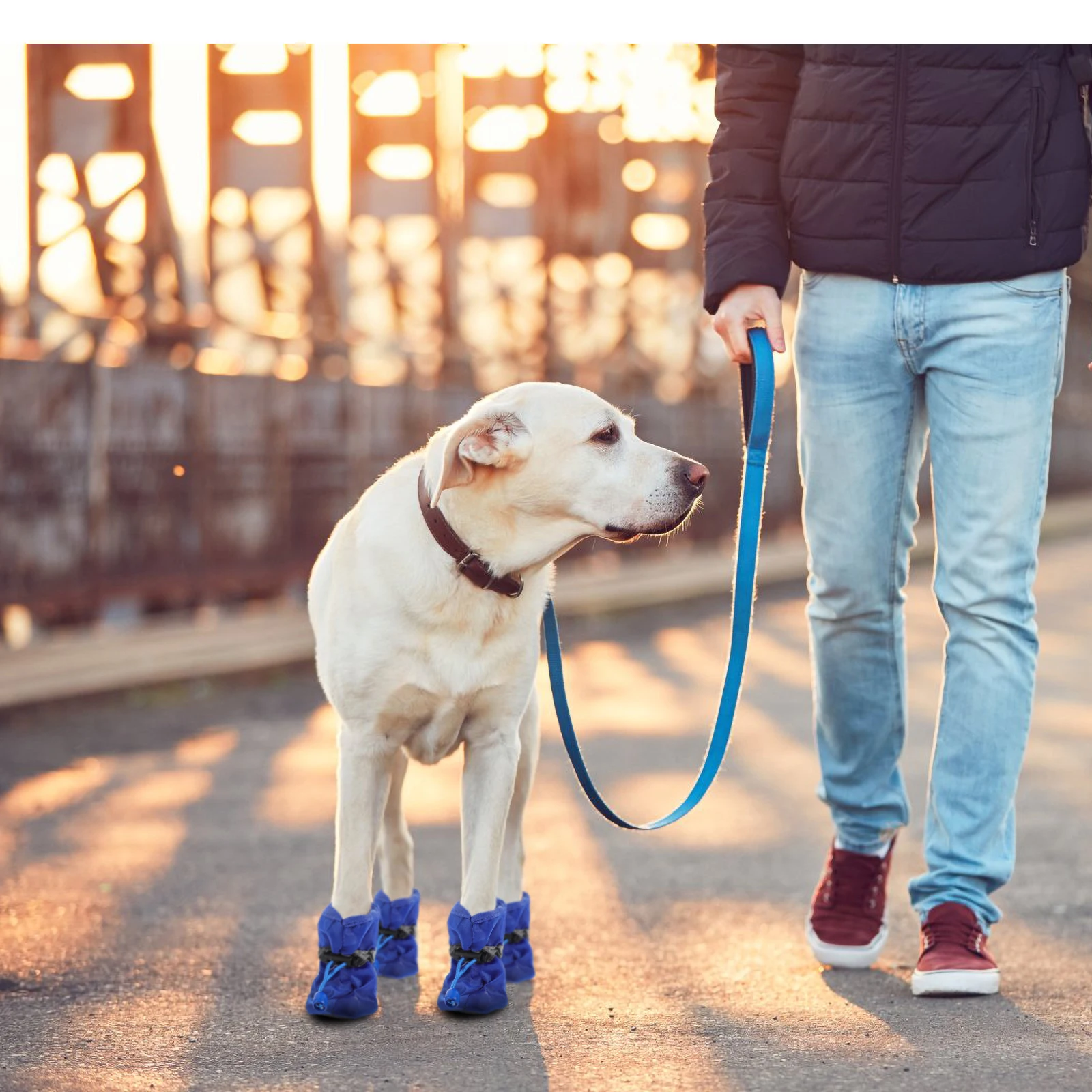 

4 pcs Dog Boots Waterproof Shoes for Small Dogs Puppies Hiking Running Booties Soft Sole Pet Supplies