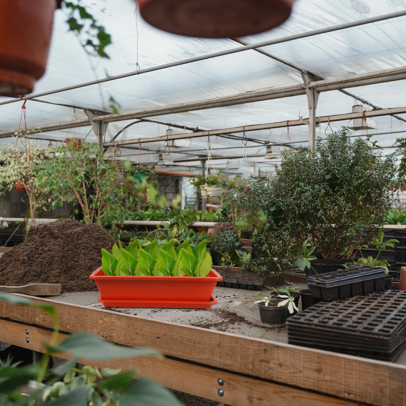 

Rectangle Plastic Plant Pot with Tray for Vegetables Flowers and Succulents Indoor Outdoor Garden Planter Container Growing