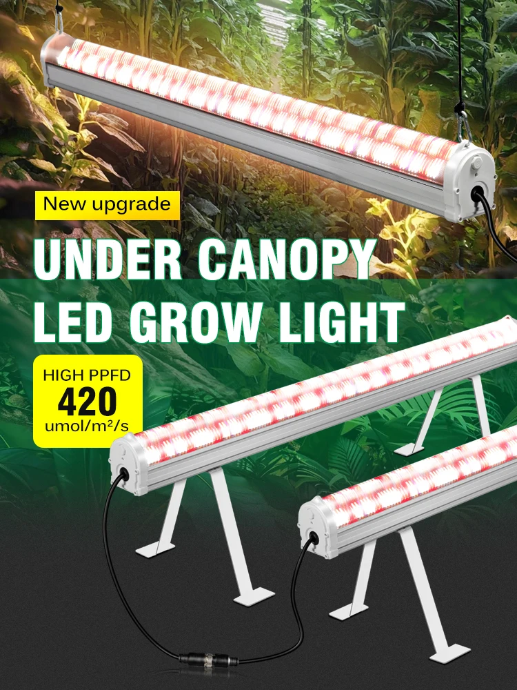 Unter dem Canopy LED-Pflanzenlicht 150W K 6500K IR 730nm UV 395nm LM281B mit hohem PPFD 420umol/sth/s Wachstumslampe für Gewächshauspflanzen
