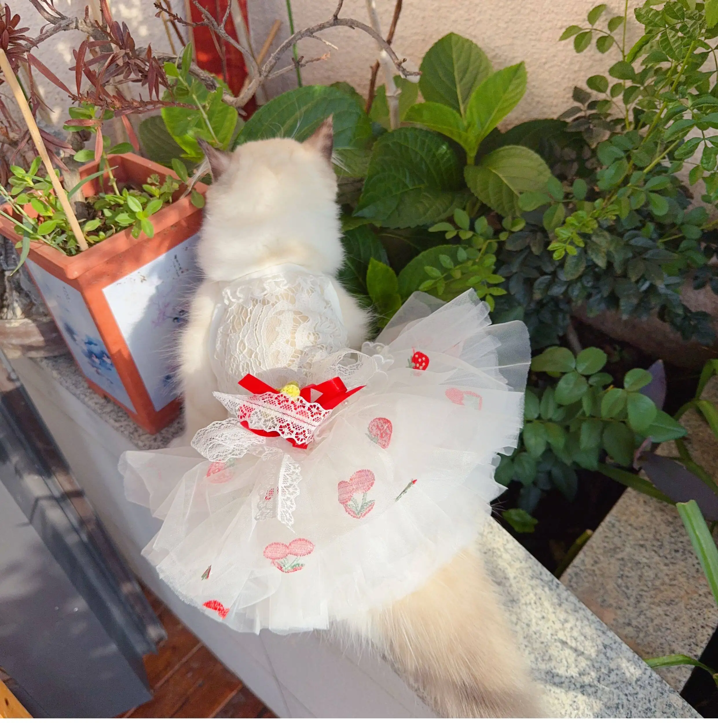 

Summer Thin Hollow Lace Pet Dog Clothes Sweet Red Strawberry Print Bow Party Princess Dress for Small Medium Dog Puppy Home Wear