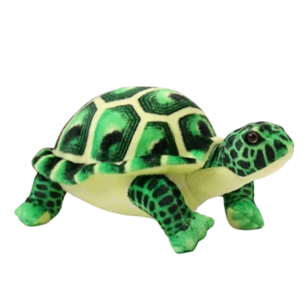 

Marine Animal Tortoise Plush Toy Fluffy Collection Sea Turtle Stuffed Doll Ins Cute Animal Sea Turtle Pillow Home Decor