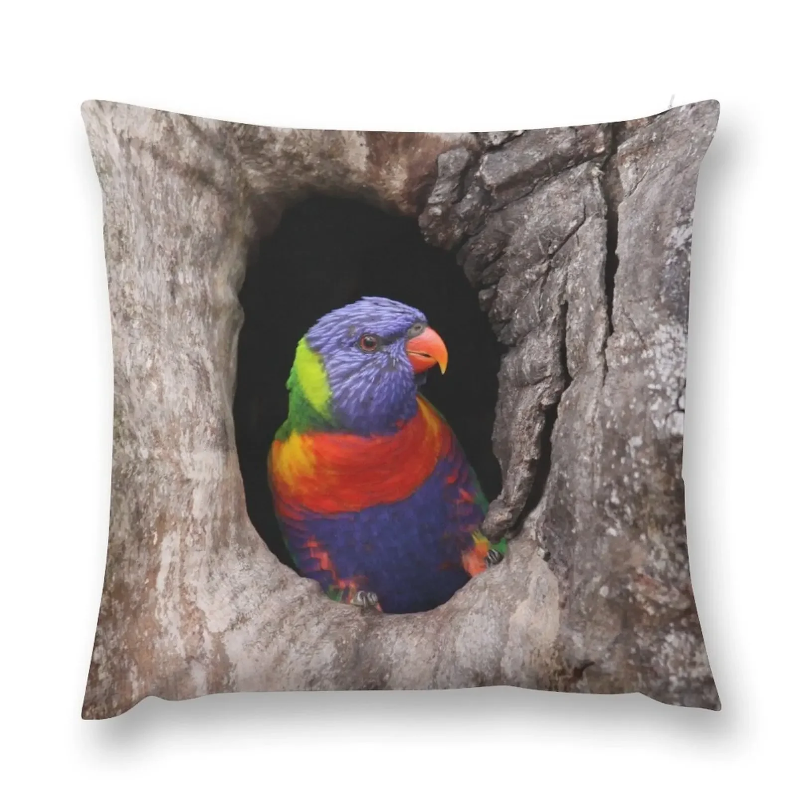 

Home sweet home - a Rainbow Lorikeet sitting in a Tree hollow Throw Pillow Custom Cushion Sofa Cushions pillow